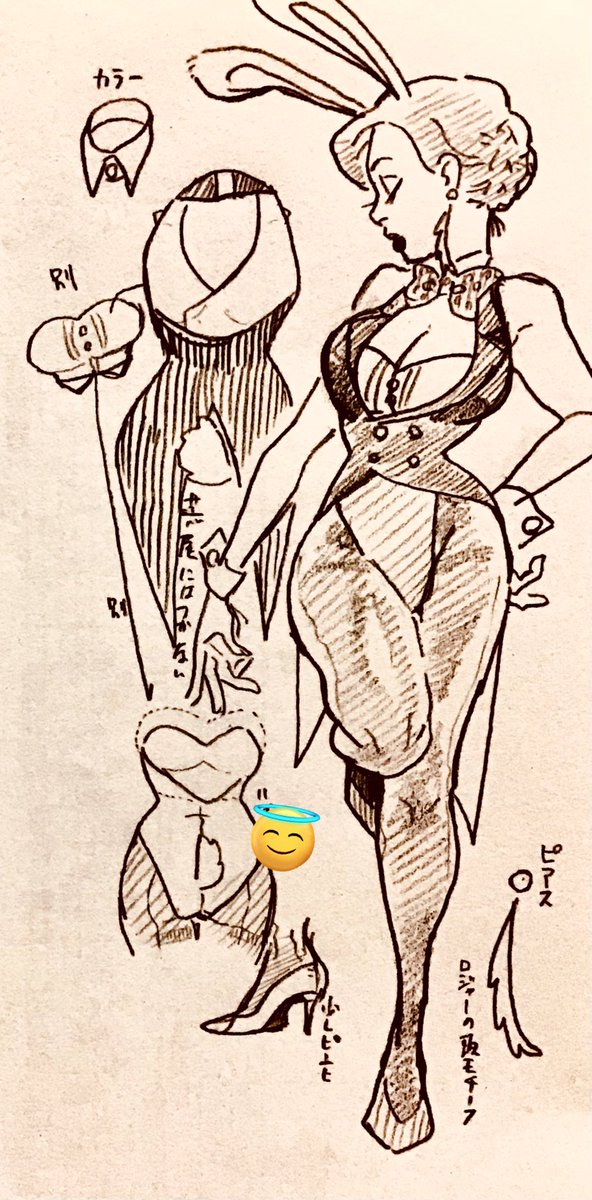 これは先日描いたバニージェの詳しいメモ。次に描くことがあるか分からないメモ。 