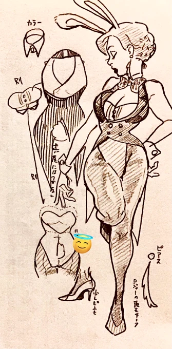 これは先日描いたバニージェの詳しいメモ。次に描くことがあるか分からないメモ。 
