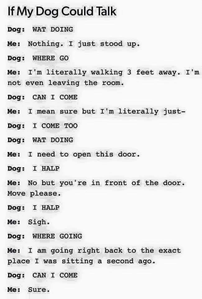 CarrieFarland1's tweet photo. Your funny for today...
So true ๐๐คฃโค๏ธ๐
#Thorthoughts https://t.co/1C4lrIHnVE