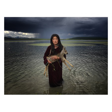 steve hsu tweet media