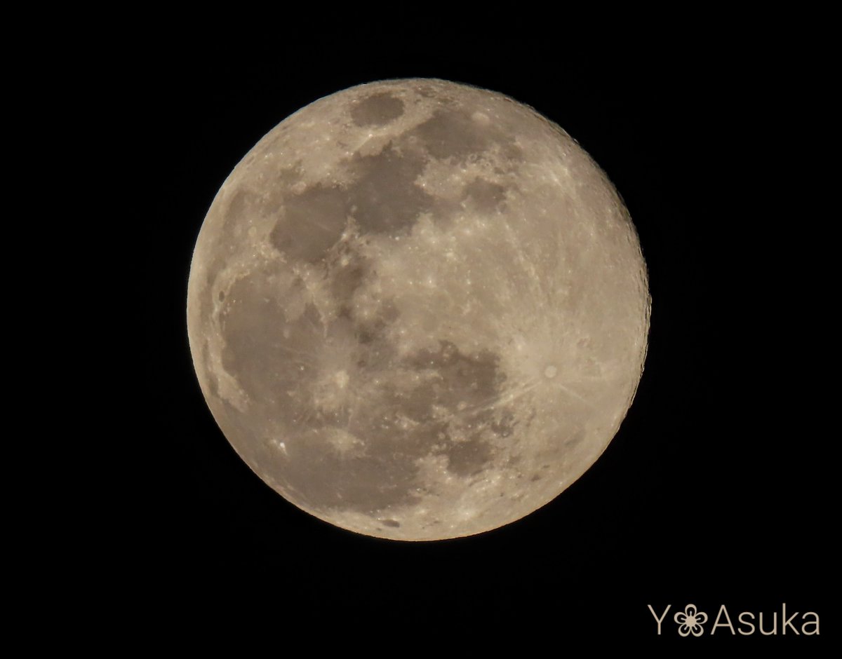 yumeasutw's tweet photo. 今宵も月が綺麗です🌕️✨

穏やかな夜🌃✨
東の空高く #十六夜 のお月様(月齢15.0)が、街を優しい光で照らしています✨

#満月 ８時８分
#夜空 #宙の名前
#天気の図鑑 #雲友の会
#月 #moon
#ウルフムーン #狼月 🐺
#a2023 #a0107 #a202301 #a2023011 https://t.co/kUPWWlfuHz