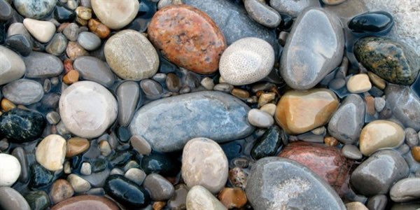 Today is Old Rock Day—A day to celebrate the Earth’s history and the field of Geology!  Check out Geosciences at <a href="/utmartin/">UT Martin</a> by <a href="/SkyhawkAggie/">UTM Ag. & Appl. Sci.</a>.  utm.edu. The Earth is our Classroom!  #Geosciences #Geology #OldRockDay