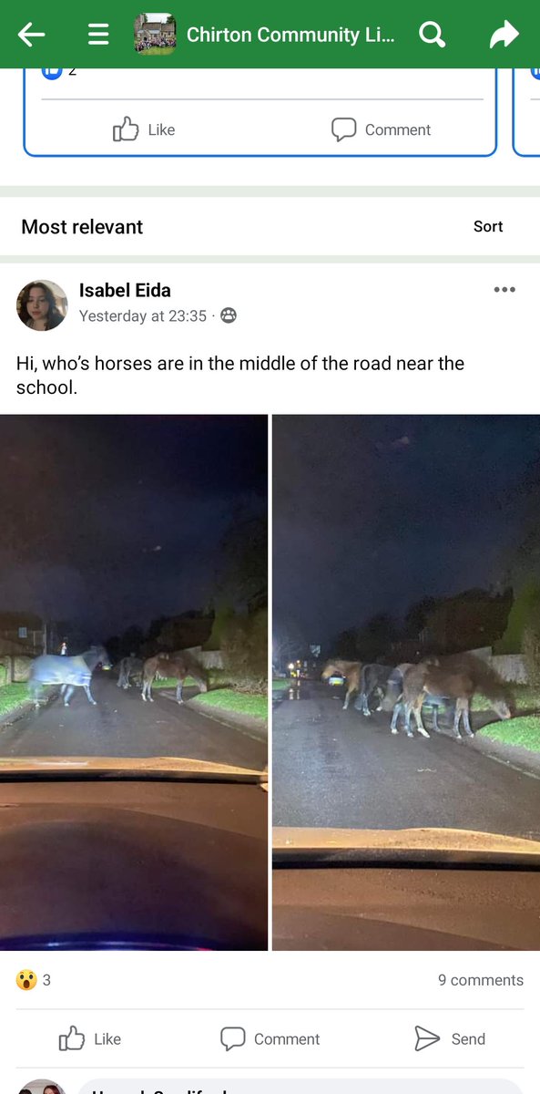 What a way to end my birthday.  Thankfully Hannah was scrolling on Facebook and saw this post. Someone left the gate open to our yard and our horses went on an expedition