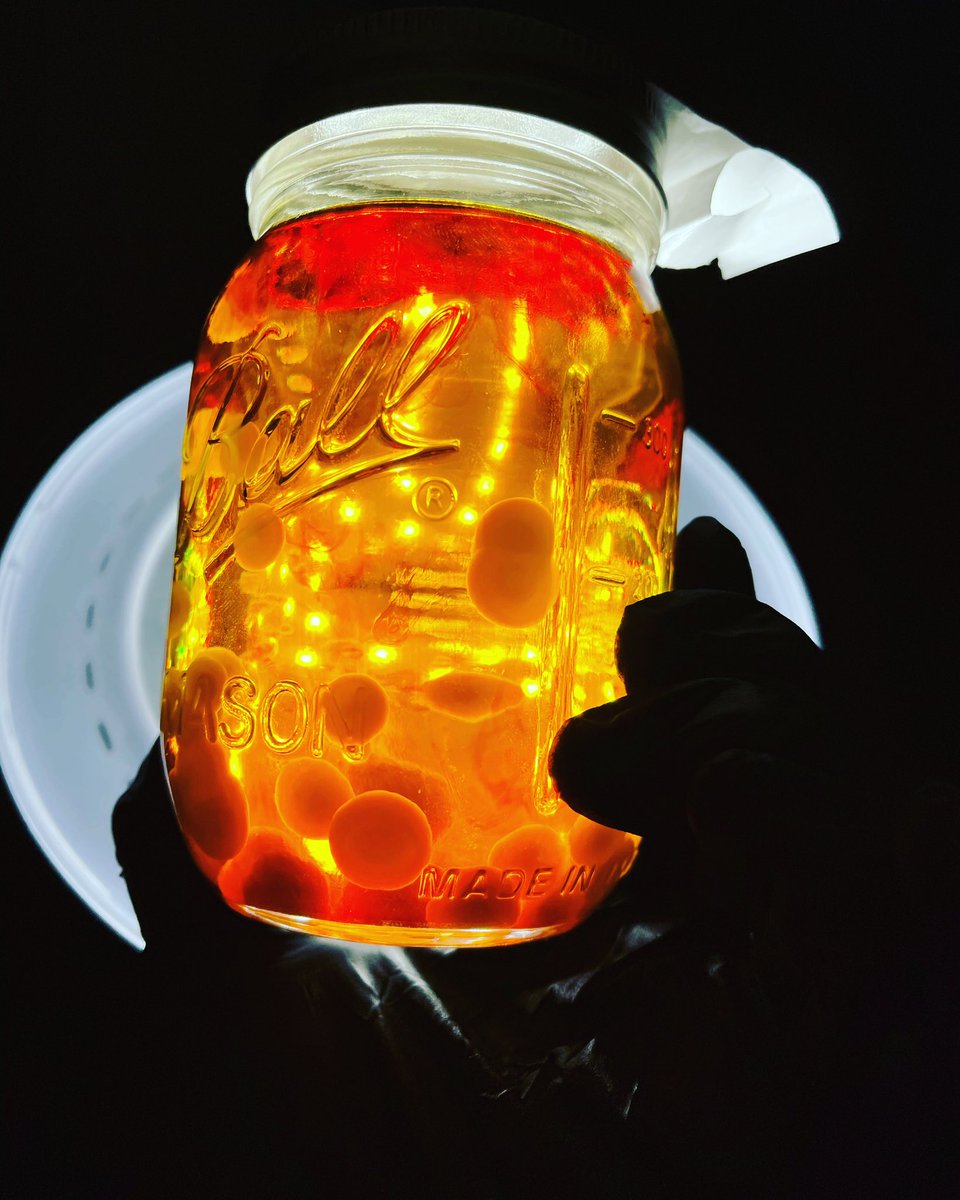 Lab Shit