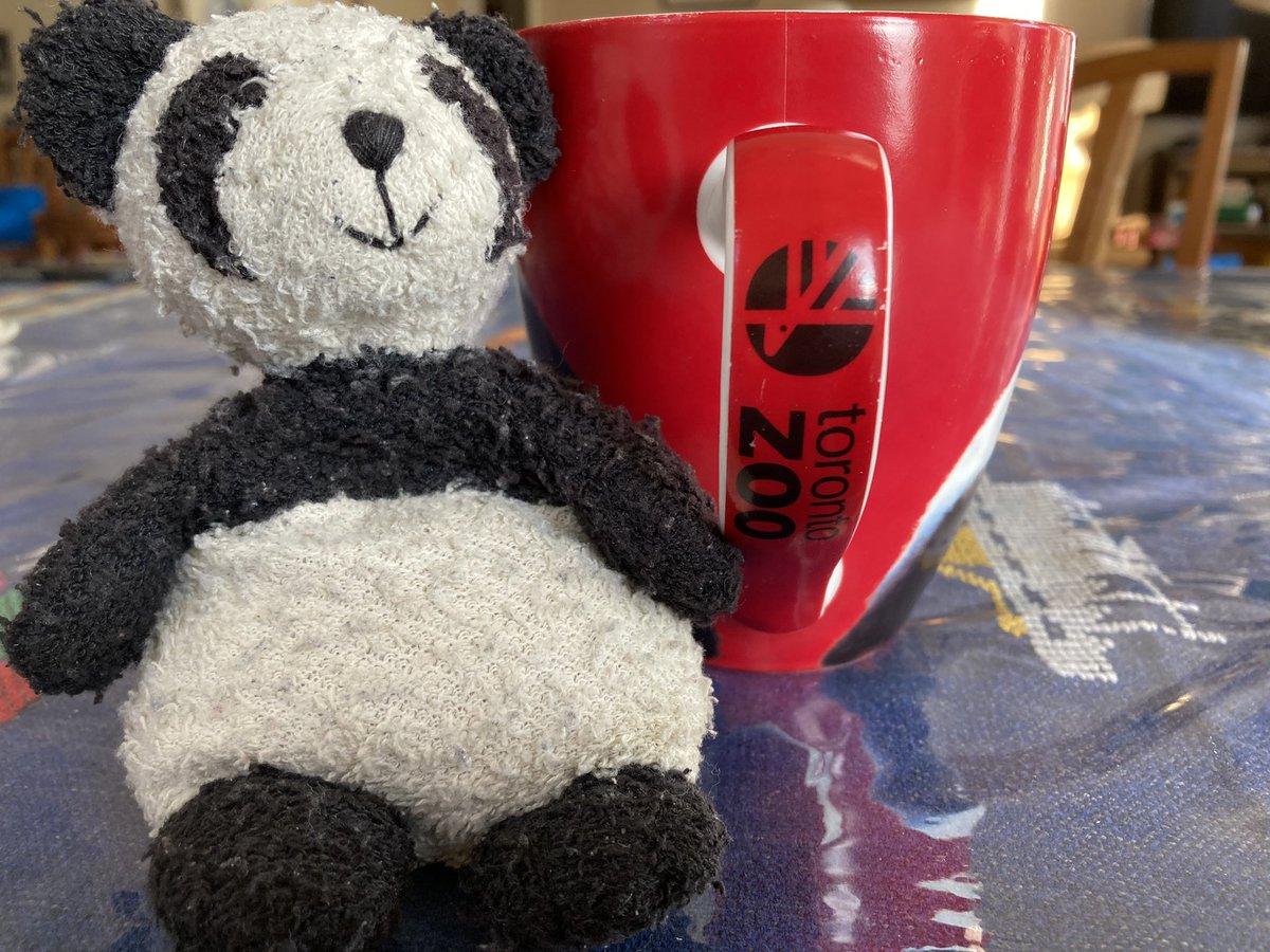 Adventure_Gauss's tweet photo. Having coffee with my human in a very awesome mug! This mug has Er Shun and Da Mao on it. I had a great time when I saw them at the Toronto Zoo! Pandas are amazing. @TheTorontoZoo #panda #ershun #damao #pandaMug #torontoZoo #torontoZooPandas https://t.co/WEoYDB0Hej