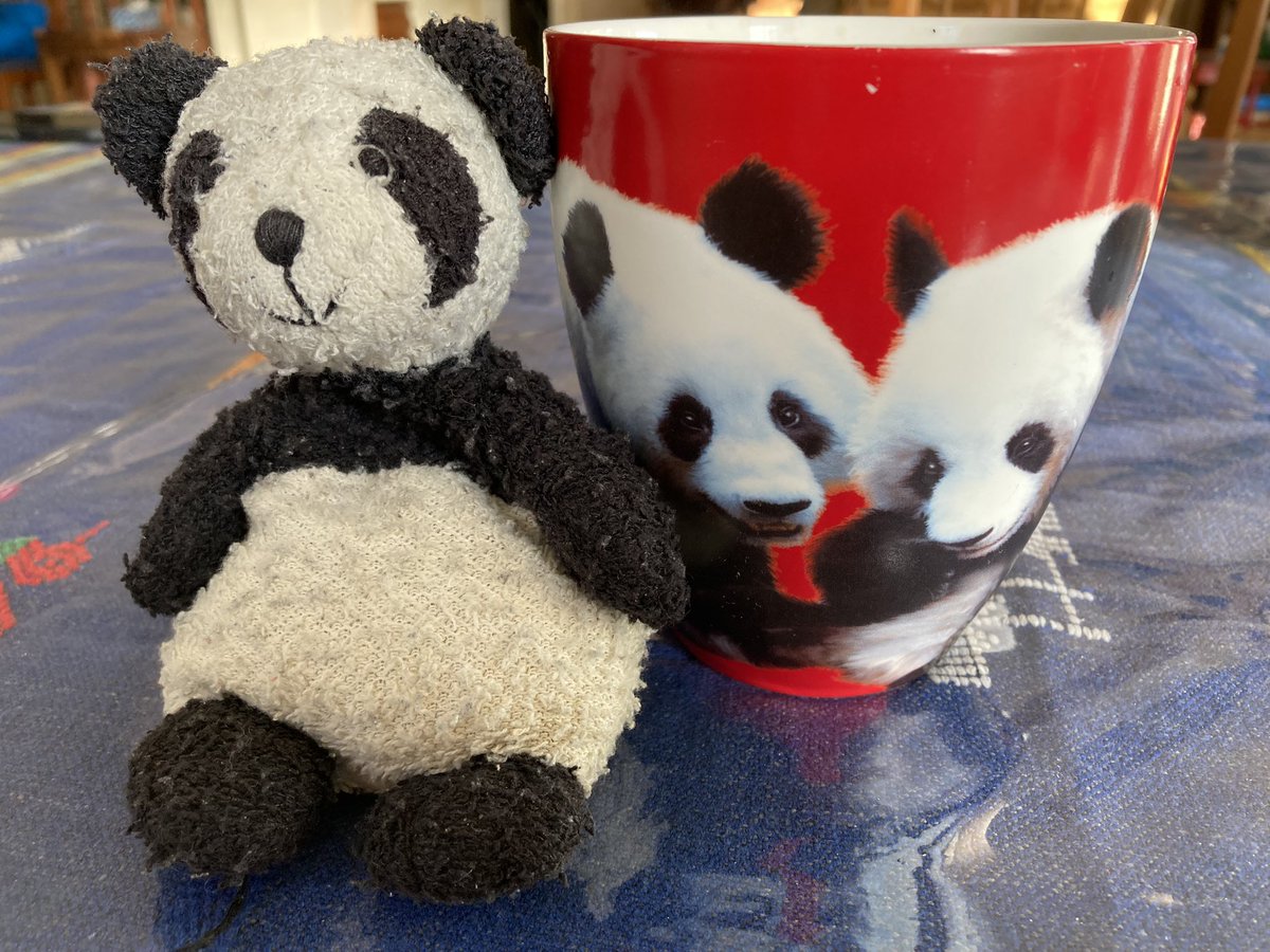 Adventure_Gauss's tweet photo. Having coffee with my human in a very awesome mug! This mug has Er Shun and Da Mao on it. I had a great time when I saw them at the Toronto Zoo! Pandas are amazing. @TheTorontoZoo #panda #ershun #damao #pandaMug #torontoZoo #torontoZooPandas https://t.co/WEoYDB0Hej
