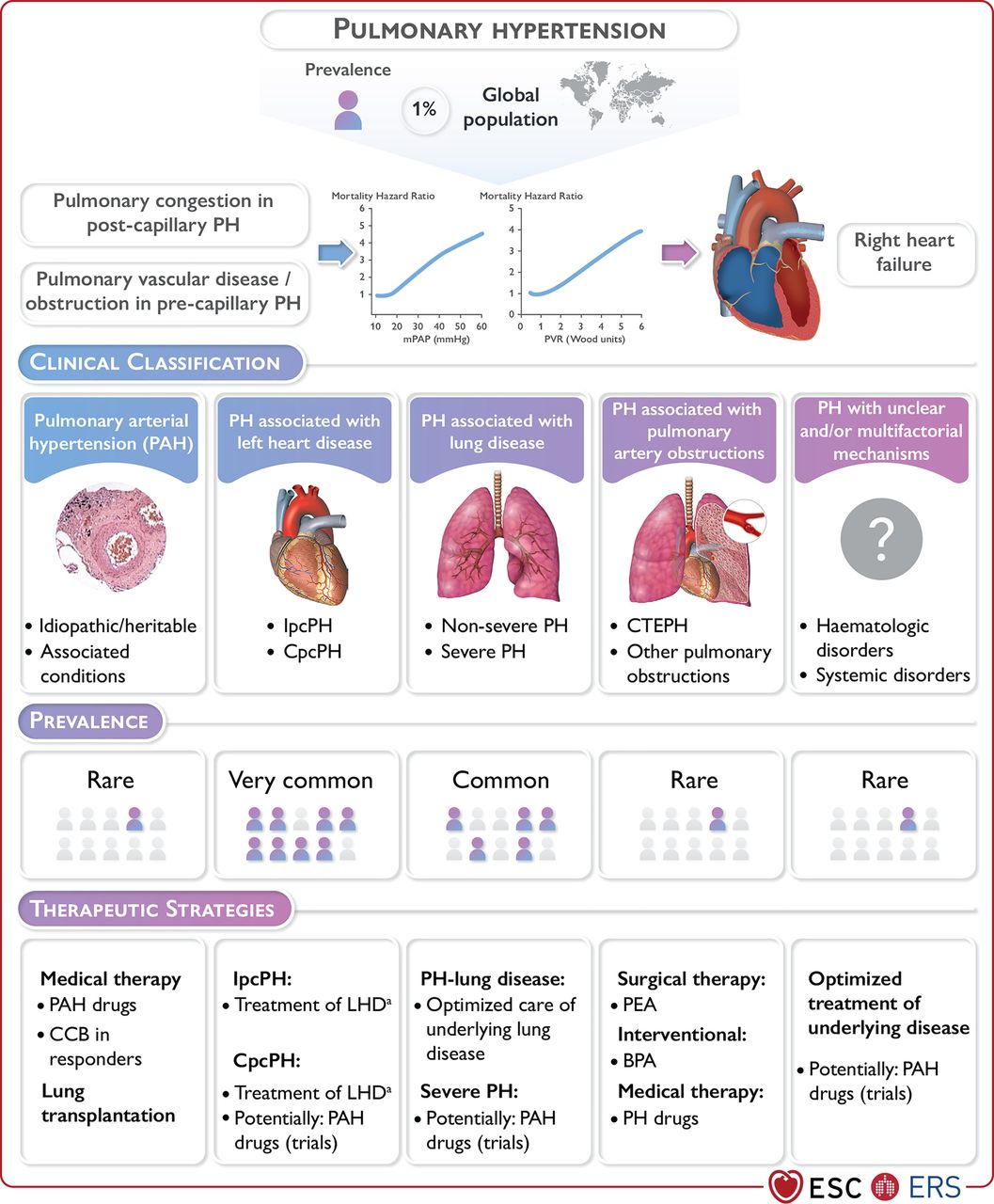 ERS publications on X