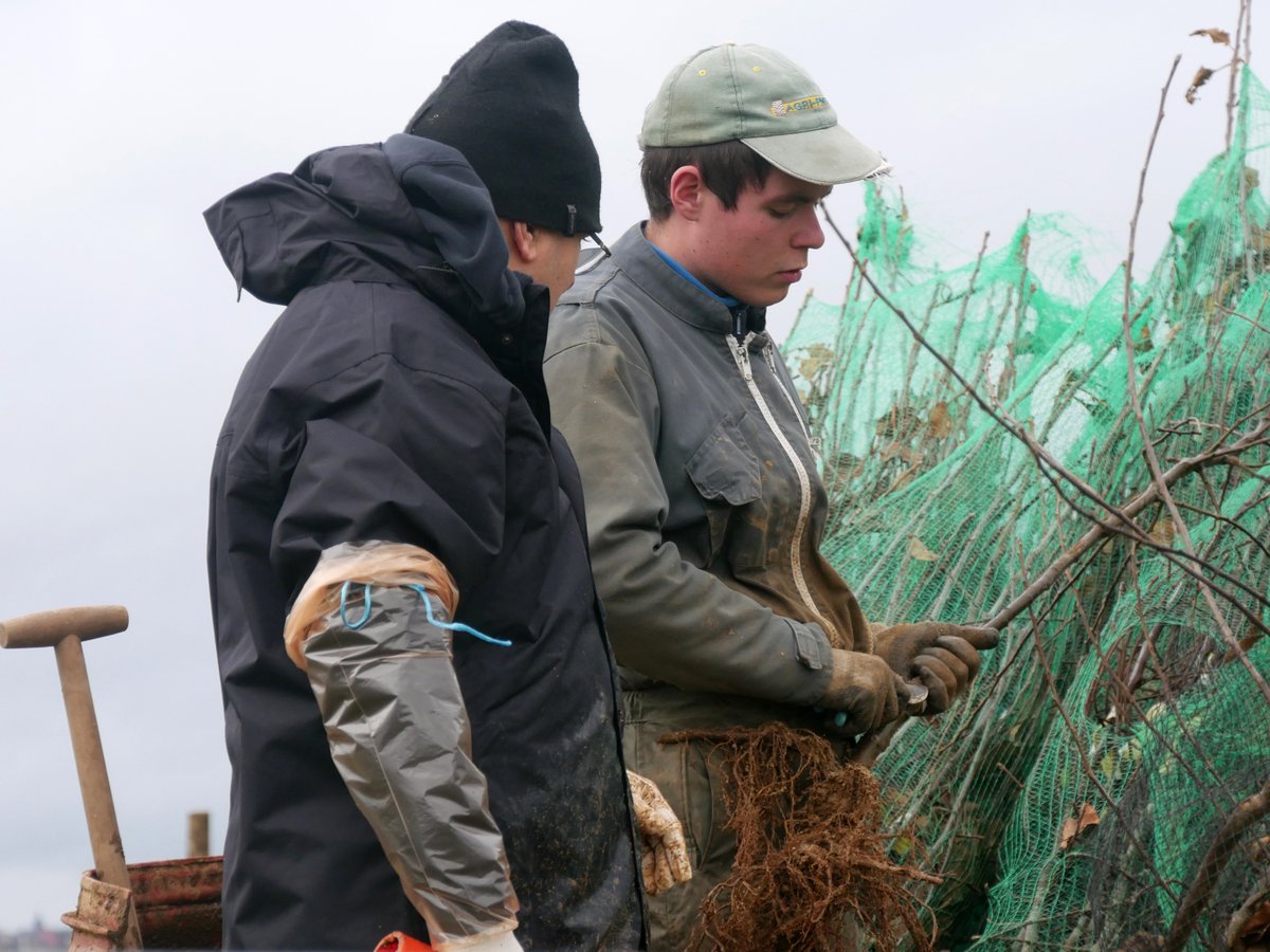 CfppaLeParaclet's tweet photo. Baptiste & Hugo, #apprentis en #BTSACSE au Paraclet, apportent leur soutien à Mathis TAOUFIK #arboriculteur à Boves, pour mener à bien la #plantation de ses 3200 #pommiers. Une belle occasion de découvrir les variétés, leurs spécificités, les techniques de plantation & l'ITK. https://t.co/l4ykZcv4Lh