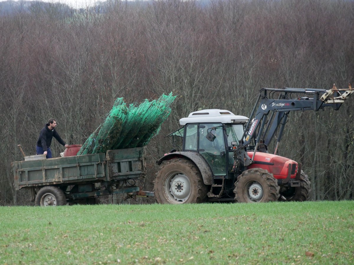 CfppaLeParaclet's tweet photo. Baptiste & Hugo, #apprentis en #BTSACSE au Paraclet, apportent leur soutien à Mathis TAOUFIK #arboriculteur à Boves, pour mener à bien la #plantation de ses 3200 #pommiers. Une belle occasion de découvrir les variétés, leurs spécificités, les techniques de plantation & l'ITK. https://t.co/l4ykZcv4Lh