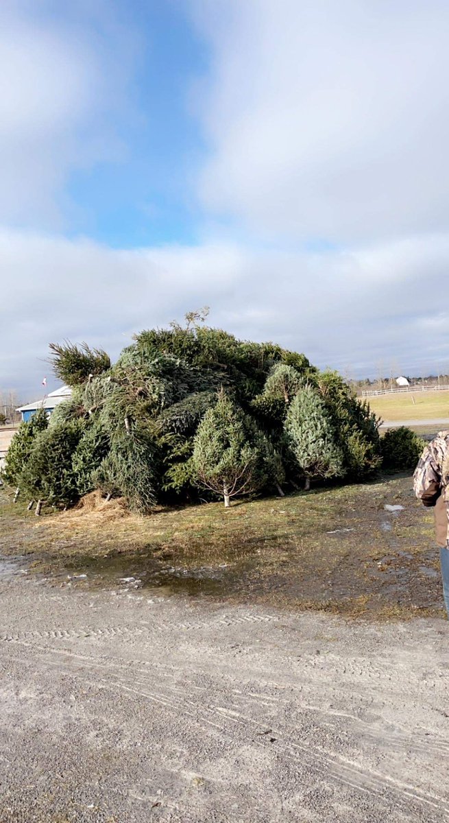 AthensFire's tweet image. Tree burning event in Athens tonight! Our team of firefighters and snowmobile club were engaged in a mission of building this super bonfire! It will be a night to enjoy family, rides, hot chocolate and a bonfire! Staysafe everyone! Our fireighters will monitor the fire!