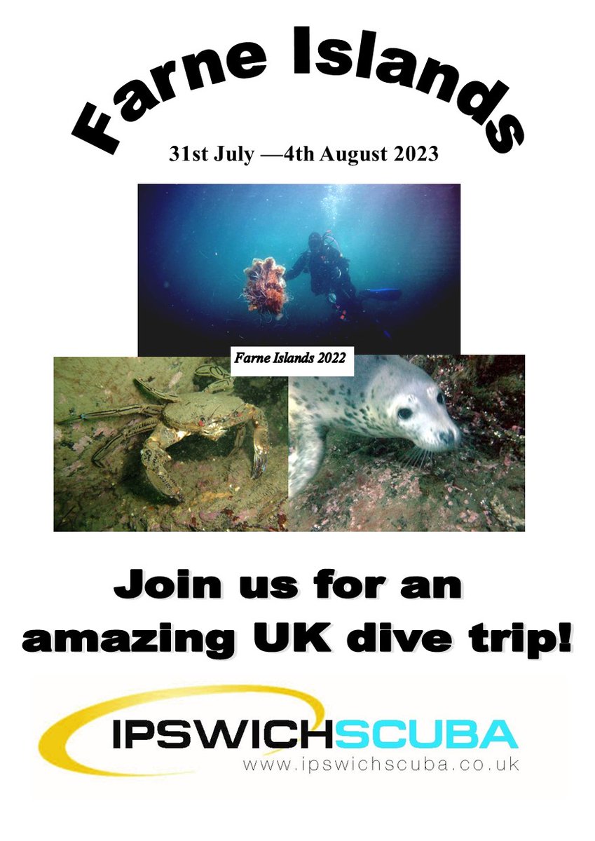 Ipswich Scuba tweet media