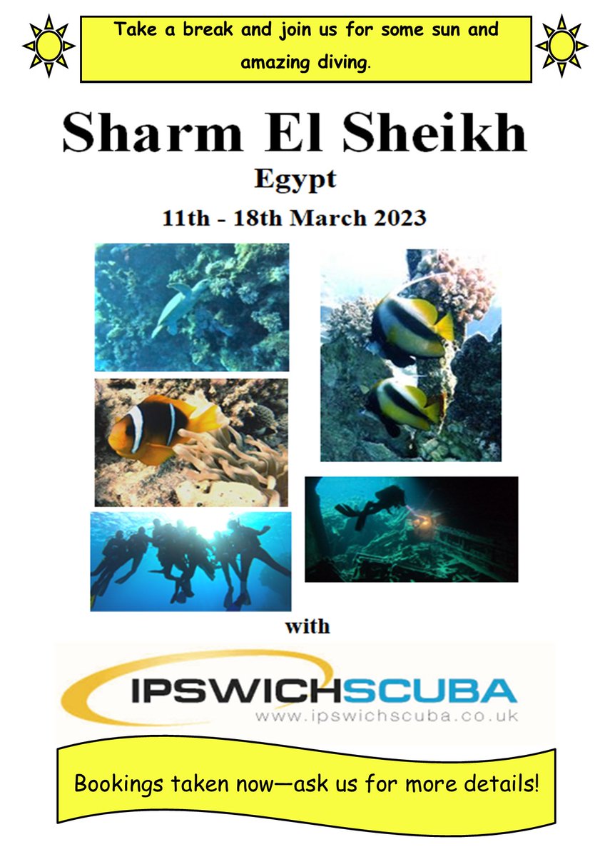 Ipswich Scuba tweet media