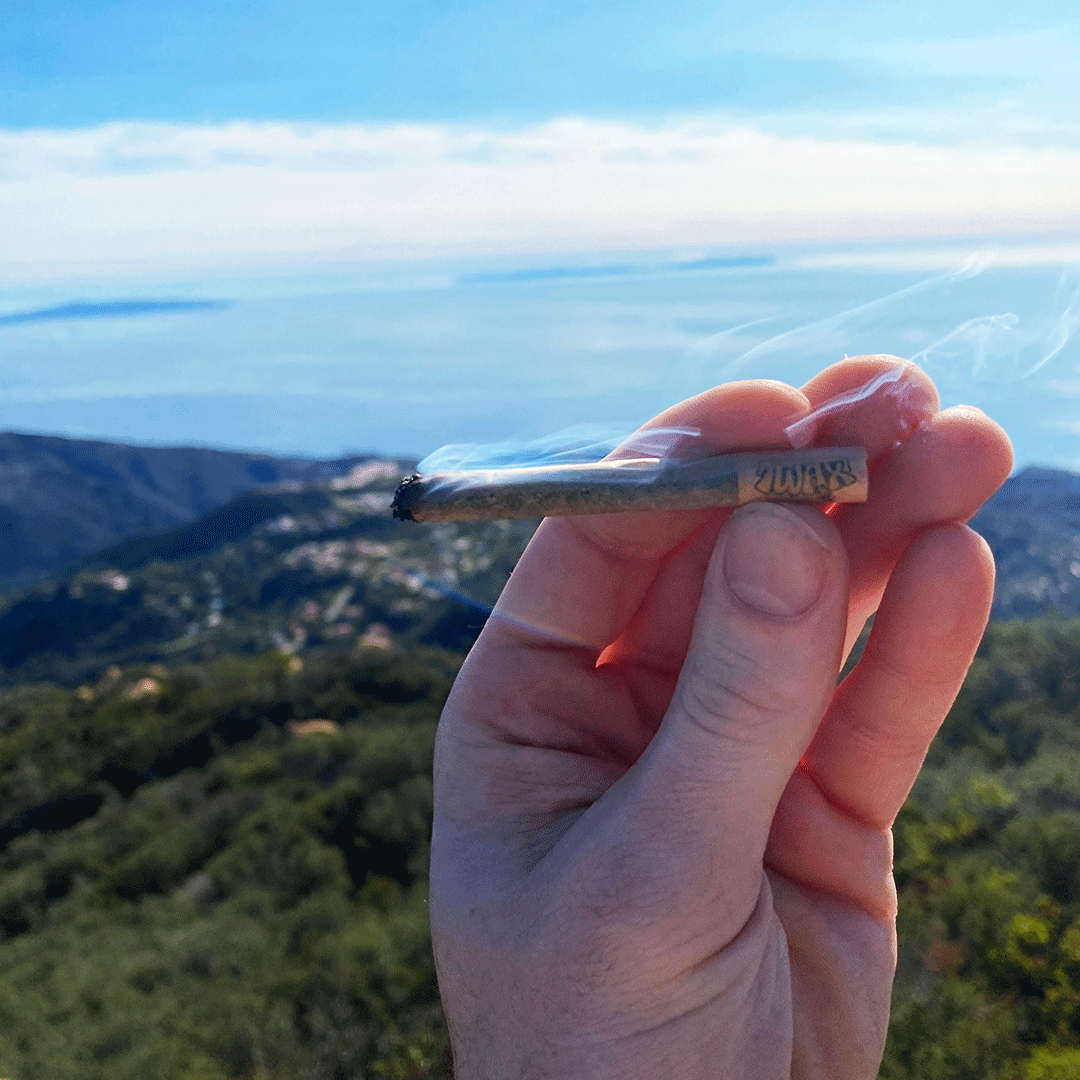 TheClear420's tweet image. Experiencing #TWAX with #LA Bay views is a vibe! 🌊 ✨  #infusedpreroll
Please consume responsibly. 👍