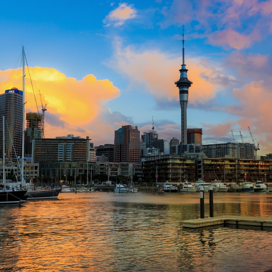 IdpOman's tweet photo. Next stop: New Zealand #studynz ๐
Meet our expert counsellor to being your journey abroad: https://t.co/MpKk8SnraY
--
#idpoman #studyabroad #newzealand #photography #sunset #naturephotography #skytower #student #travel #studenttravel https://t.co/4owxOmD5ci