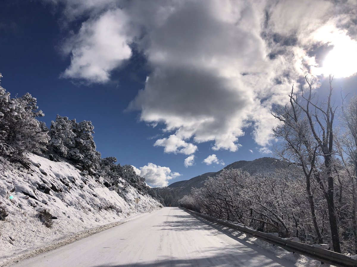 Jilly Bean tweet media