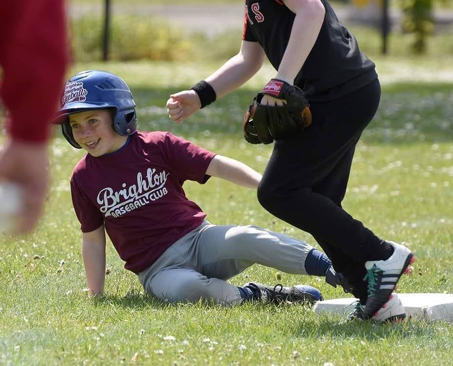 Brighton Baseball tweet media