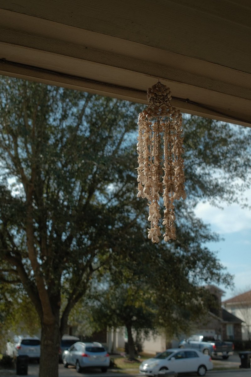 Conchasaurus's tweet image. gm