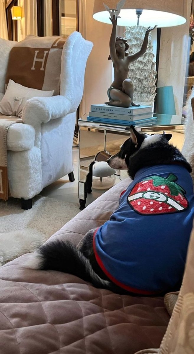 esecahh32's tweet photo. Visiting in my aunt's house,and  there's another visitor🤭 besides me🥰🥰 https://t.co/GEWUxuiBI8