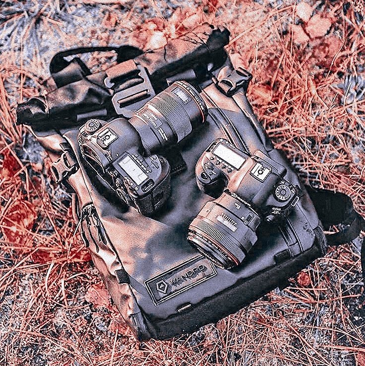 ᅠᅠ⍟ 𝑺𝑻𝑬𝑽𝑬 𝕽𝑶𝑮𝑬𝕽𝑺 ｡ tweet media