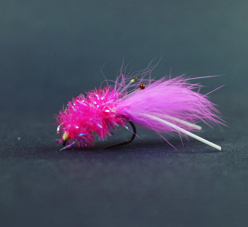 Saltwateronfly's tweet photo. Flashy, Looks good
@fishyaleks_flies
Pink little thing with rubber legs for that extra funk 🦐
.
.
.
#flytying #flugbinding #fliegenbinden #fluebinding #pechealamouche #flugbindning #fluebindning #troutfly #troutflies #öringfluga  #saltwaterflyfishing #streamerflies https://t.co/EOzEKpJmCY