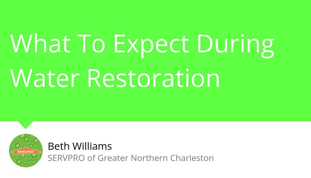 servproofgnc's tweet image. At SERVPRO of Greater Northern Charleston, our technicians are trained and certified in water disaster management and all forms of remediation.

Read more 👉 lttr.ai/6rRM

#SERVPROnchs #HereToHelp #Restoration #AlwaysReady