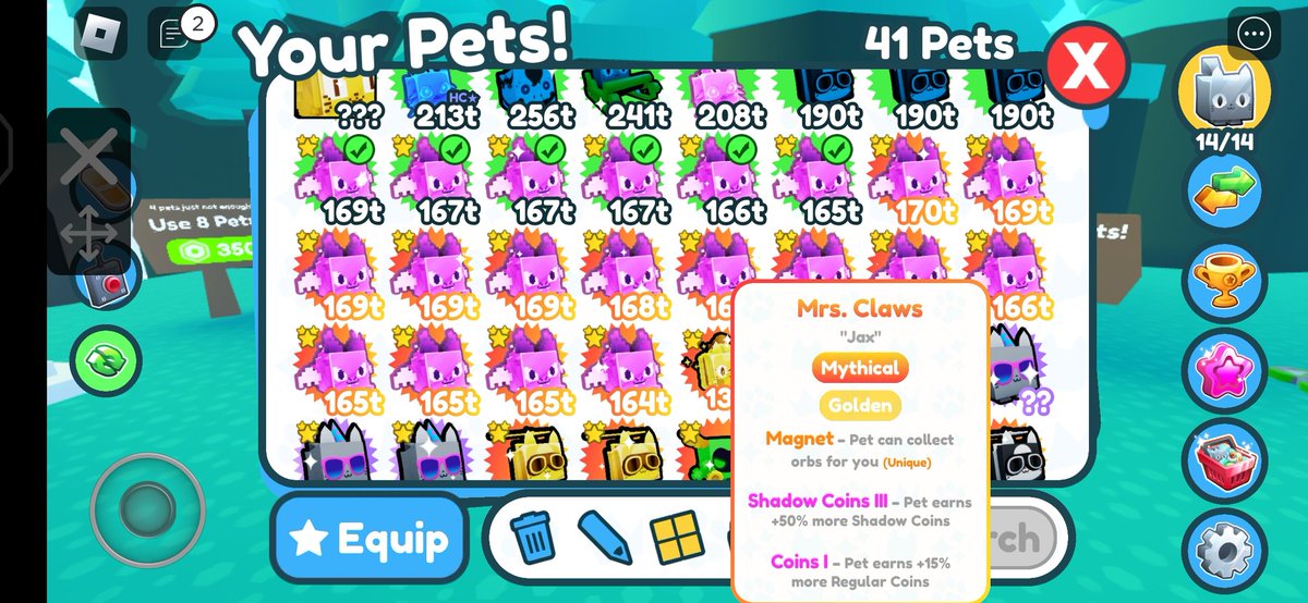 ROBINPLAYZ5's tweet photo. Shadow coins? @prest4n @BuildIntoGames @PetSimXNews https://t.co/onWtmC2qgf