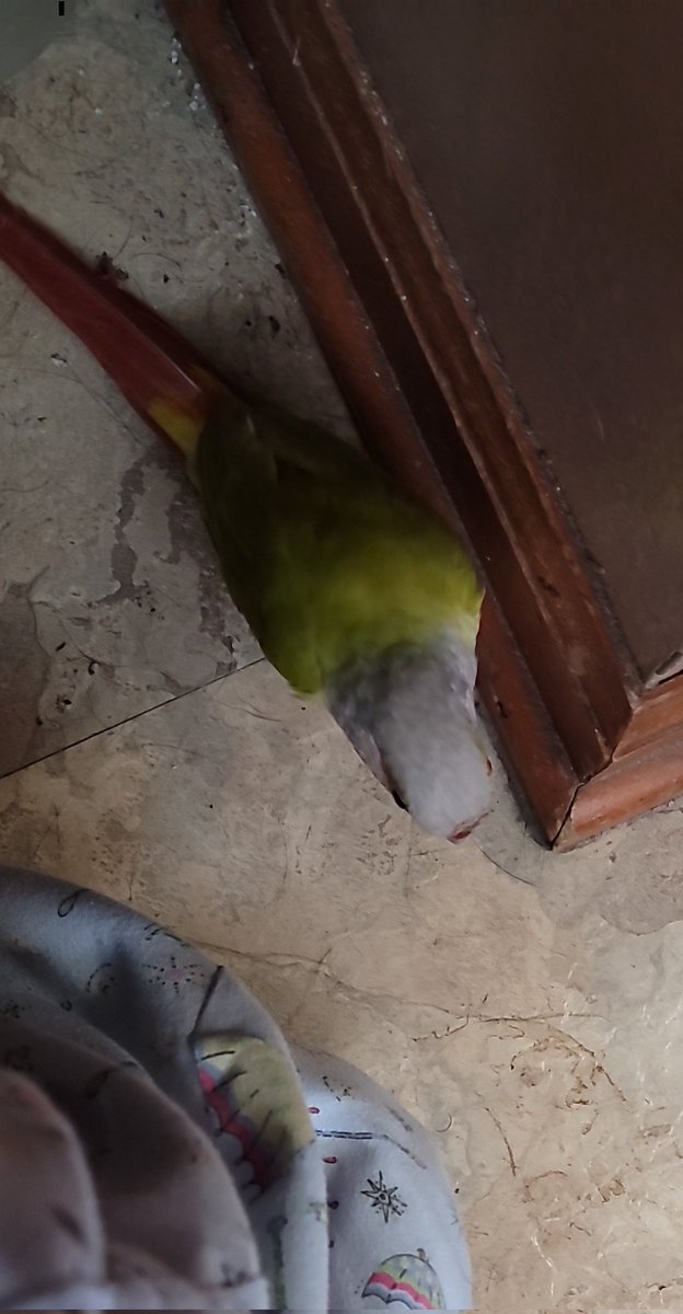 I am TRYING to go to the bathroom AND HE KEEPS BITING NY TOES