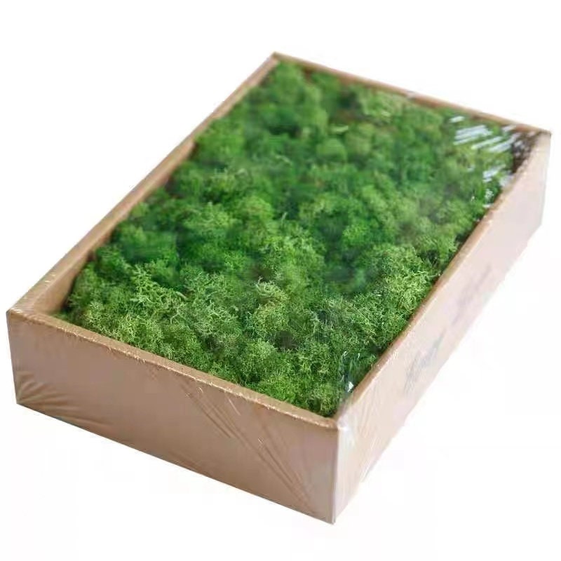 Now on sale. Preserved Green Moss 1 Lbs. etsy.me/3ZhBbT5 #green #preservedroses #floralsupplies #flowersupplies #moss #preservedmoss #reindeermoss #floristsupplies #diycenterpieces  #flowerarrangement #greenmoss #centerpiecesupplies