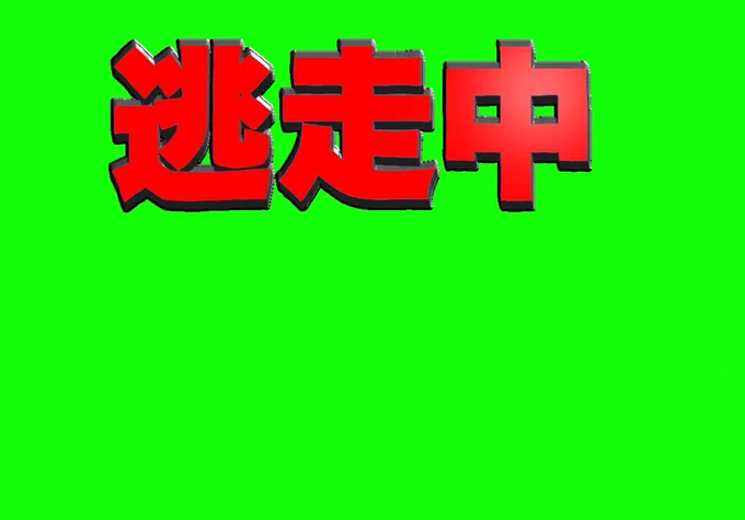 大晦日風逃走中ロゴ(手描き)素材載せておきます使う時は一声かけてくれたら嬉しいです! 