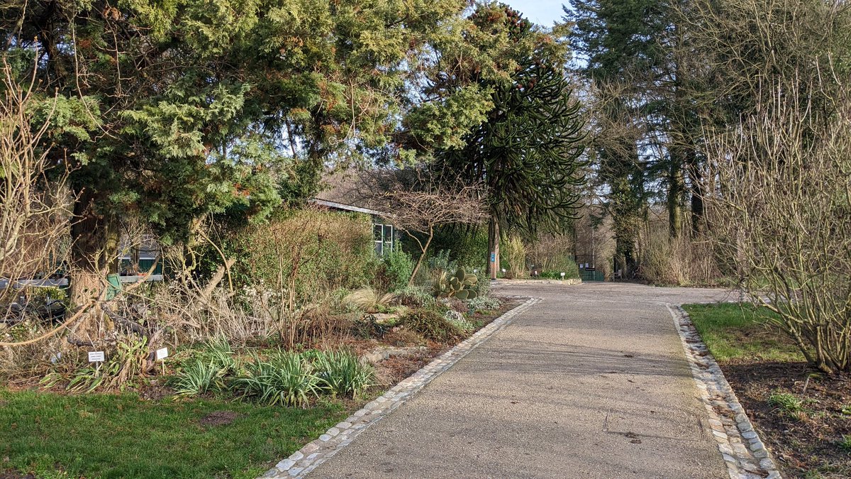 CSkentelbery's tweet image. Excellent start to 2023 for #RougeCloitre with epic new café in the renovated building and ULB botanical garden open.