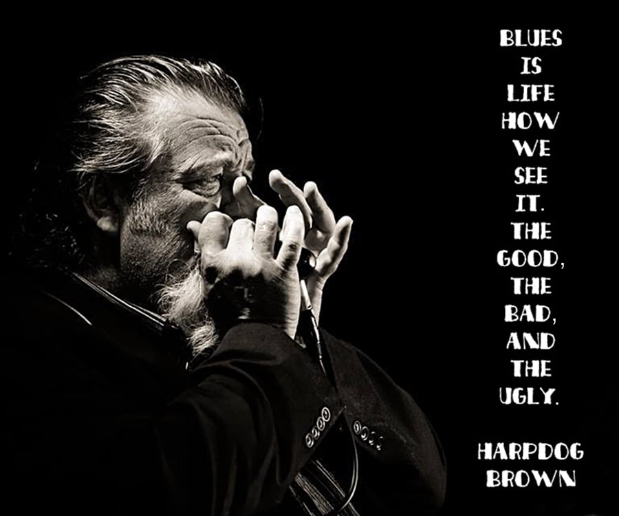 Harpdog Brown left us 1 year ago today.
Miss ya, Dog. Catch ya on the B-Side, Brother.
#HarpdogBrown #Blues #CanadianBlues #MapleBluesAward #TorontoBluesSociety #HamiltonBluesSociety #VancouverBlues #BluesHarp #MississippiSaxophone #MiseryWhistle #BluesHarmonica #ItsTheBlues