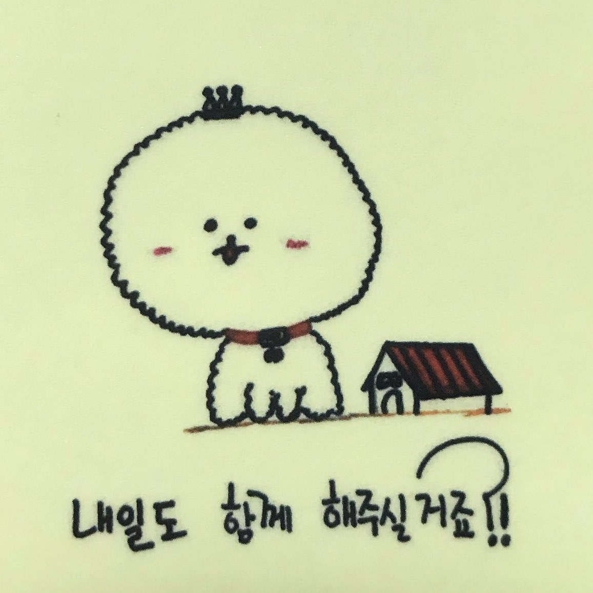 범규가 그린 비숑 ㅋㅋㅋㅋ