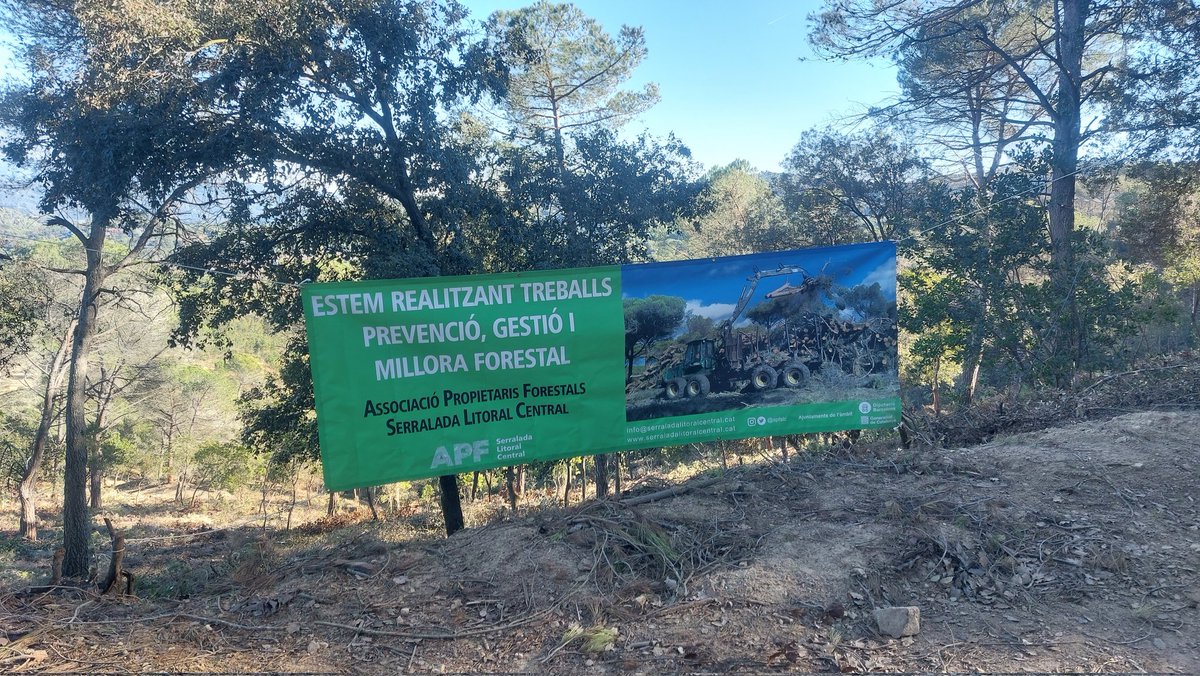 ADF172's tweet photo. #Òrrius | Bona feina de tots aquells que treballeu el bosc per tal de reduir la càrrega de combustible i així en cas d'incendi crear oportunitats d'extinció. Calen més administracions i propietaris forestals concienciats davant el risc d'incendi forestal #prevencióIF @apfslc https://t.co/srfcVFOOCn