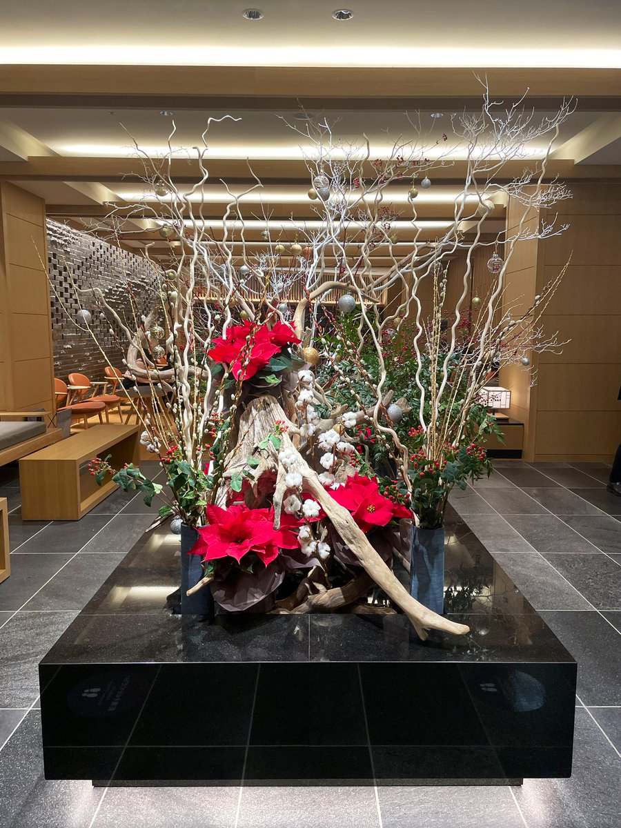R_invisalign's tweet photo. クリスマスはサプライズで箱根へ…！❄️
「人混みが嫌だからどこも行きたくない」って言われてたからすっかりお家で過ごすと思ってたのに🥹
前から気になってたお宿だったし、お部屋にも温泉がついてて最高に癒された… https://t.co/89tw6Q2SGd
