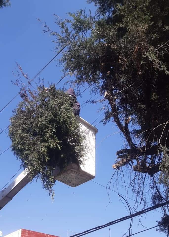 Alc_Iztapalapa's tweet photo. Por tu #seguridd, a fin de brindar mejor visibilidad y prevenir caída de ramas, según instrucciones de la alcaldesa @ClaraBrugadaM, se efectuaron trabajos de poda y clareo de árboles en la colonia Ampliación #LosReyesCulhuacán y en el Pueblo #SantaMaríaTomatlán. https://t.co/9ozsPHMwQK