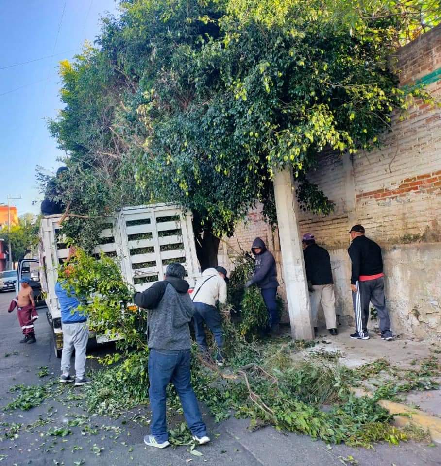 Alc_Iztapalapa's tweet photo. Por tu #seguridd, a fin de brindar mejor visibilidad y prevenir caída de ramas, según instrucciones de la alcaldesa @ClaraBrugadaM, se efectuaron trabajos de poda y clareo de árboles en la colonia Ampliación #LosReyesCulhuacán y en el Pueblo #SantaMaríaTomatlán. https://t.co/9ozsPHMwQK