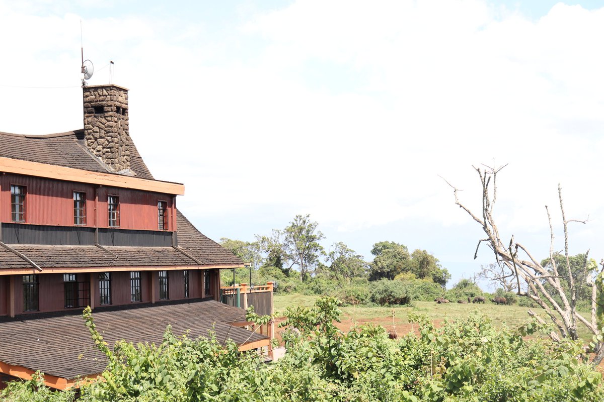 KnightedWarrior's tweet photo. The Ark Lodge
Aberdare National Park
#TembeaKenya 
#Magicalkenya https://t.co/oT713B0GgY