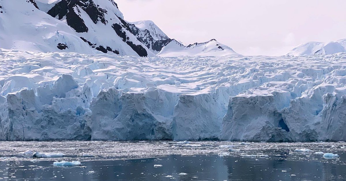 apsmola's tweet image. The continent you’ve all been waiting for …🇦🇶 

#GTF2021 @LindbladExp @NatGeoEducation @EPSBNews 
@kboyceq #explorereducator