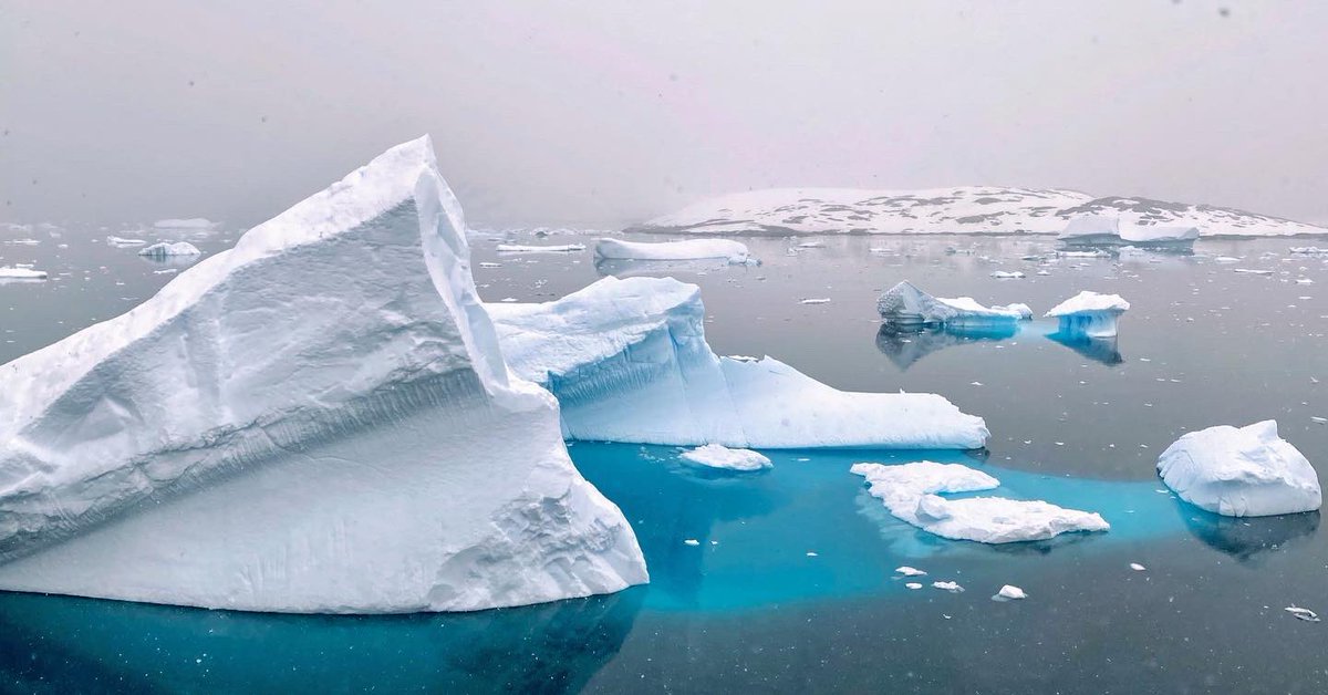 apsmola's tweet image. The continent you’ve all been waiting for …🇦🇶 

#GTF2021 @LindbladExp @NatGeoEducation @EPSBNews 
@kboyceq #explorereducator