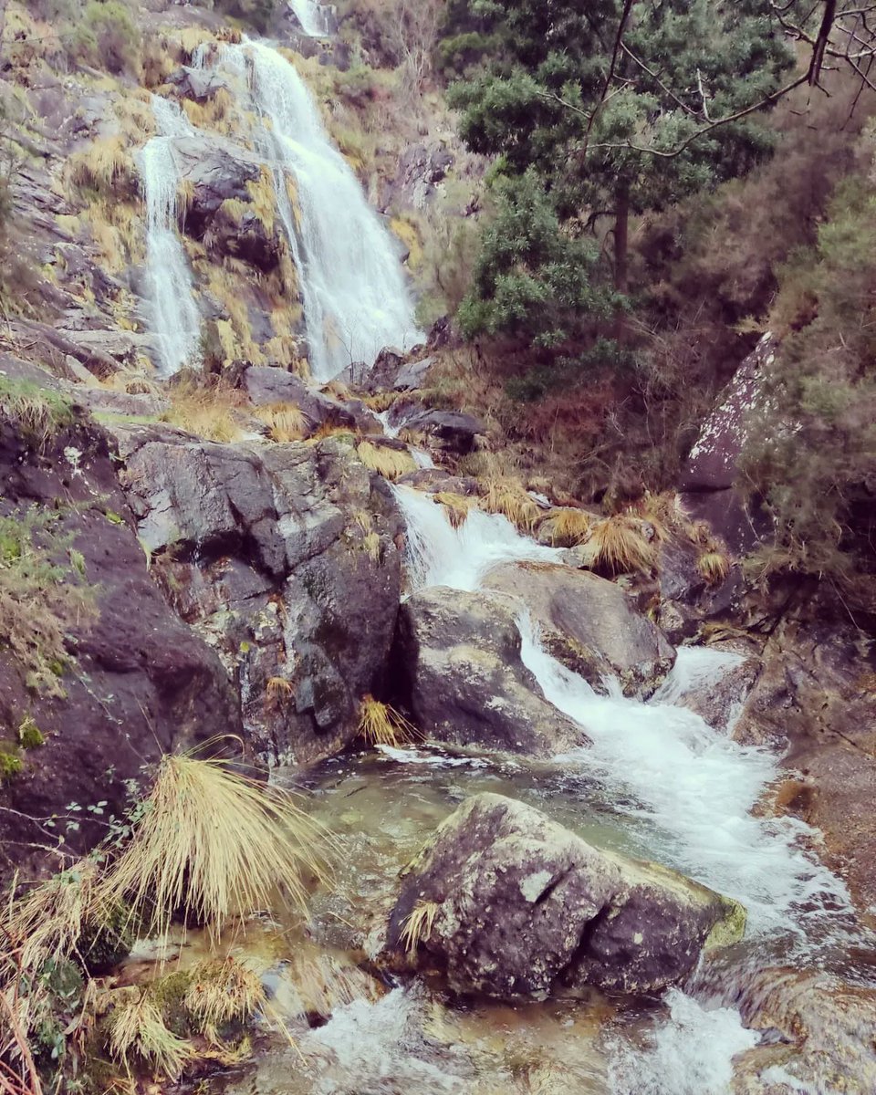 galizeando's tweet photo. 🏞 𝔽𝔼ℝ𝕍𝔼ℕℤ𝔸 𝔻𝔼 ℂ𝔸𝔻𝔸ℝℕ𝕆𝕏𝕆. Atravesando a aldea de Cubelo na #SerradoBarbanza, moi preto do monte #Iroite, atópase o regacho da Graña que forma un espectacular conxunto de diferentes saltos de auga cun desnivel duns 50 metros de altura.
#galizeando #galizear https://t.co/PfblDp3QUE