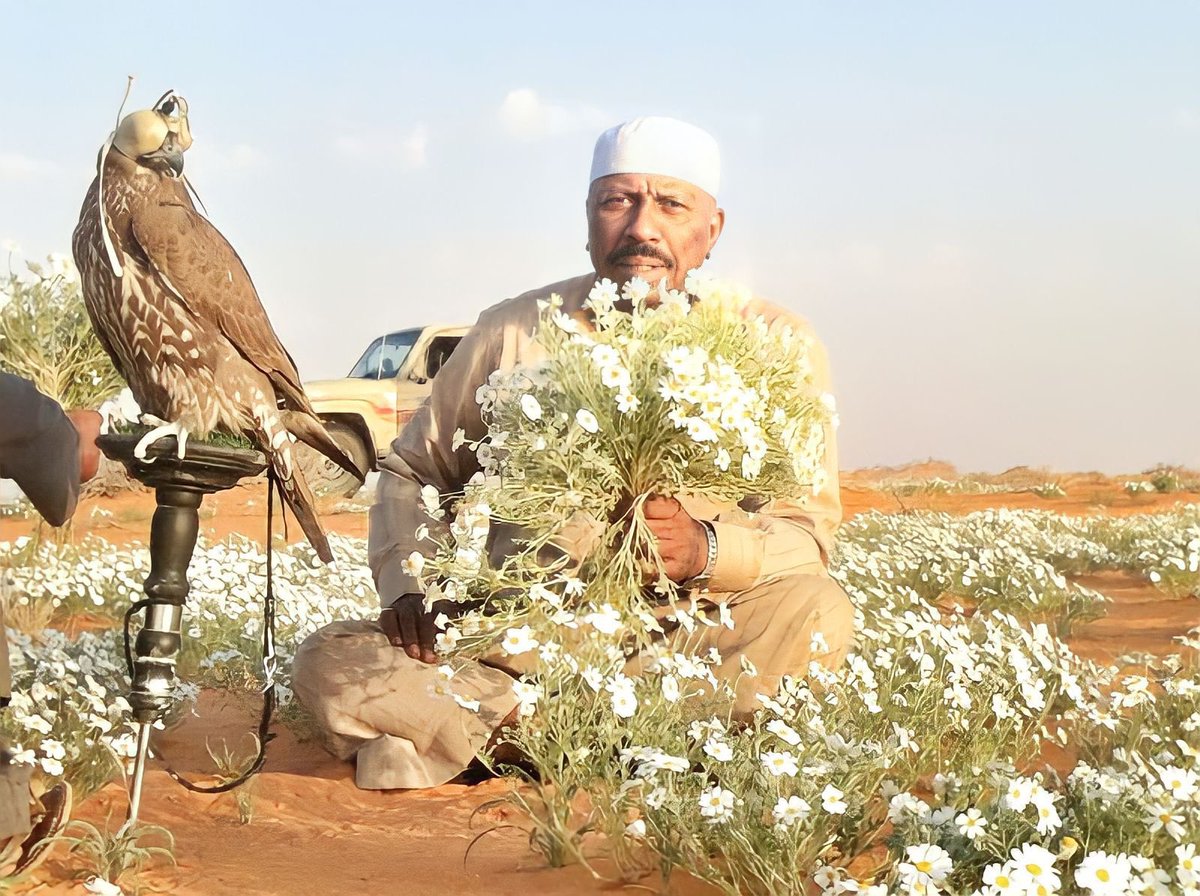 لاياعلي يابعدحي ترى مآبيش
       والزاد نفسي ترى والله ماهمّه
انا ذبحني حسين الدل بالتطنيش
   الجادل اللي عليه الحال منسمّه