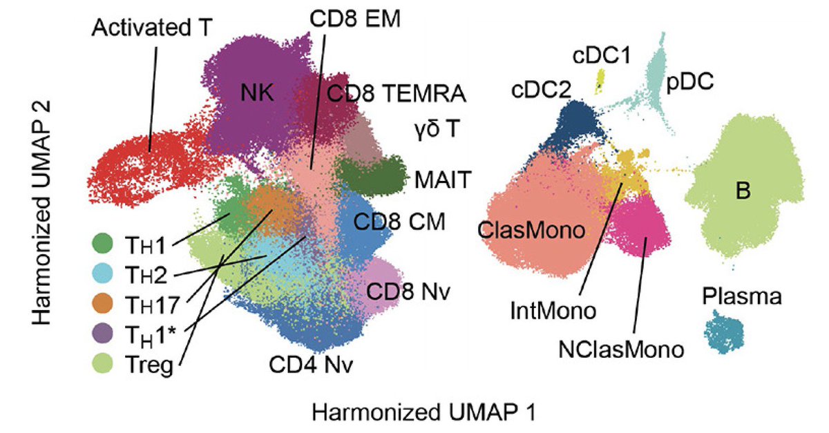 A study of five unrelated children with multisystem inflammatory syndrome, a rare complication of #SARSCoV2 infection, revealed all exhibit mutations in the OAS–RNase L pathway that result in excessive production of inflammatory cytokines. scim.ag/15l