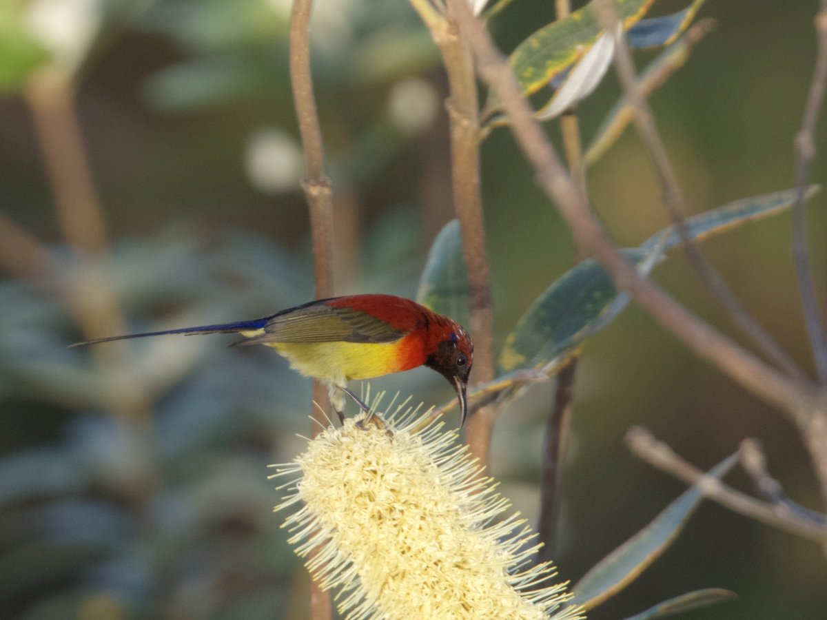 Kirill Traveling tweet media