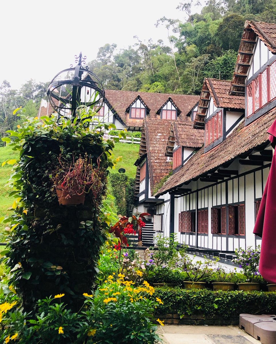 To tap into our own thoughts, sometimes we need solitude. An intellectually deep conversation over a cup of coffee at a lakeside, with natural serenity, cool breeze and lush greenery is the true measure of PEACE.  #travelling