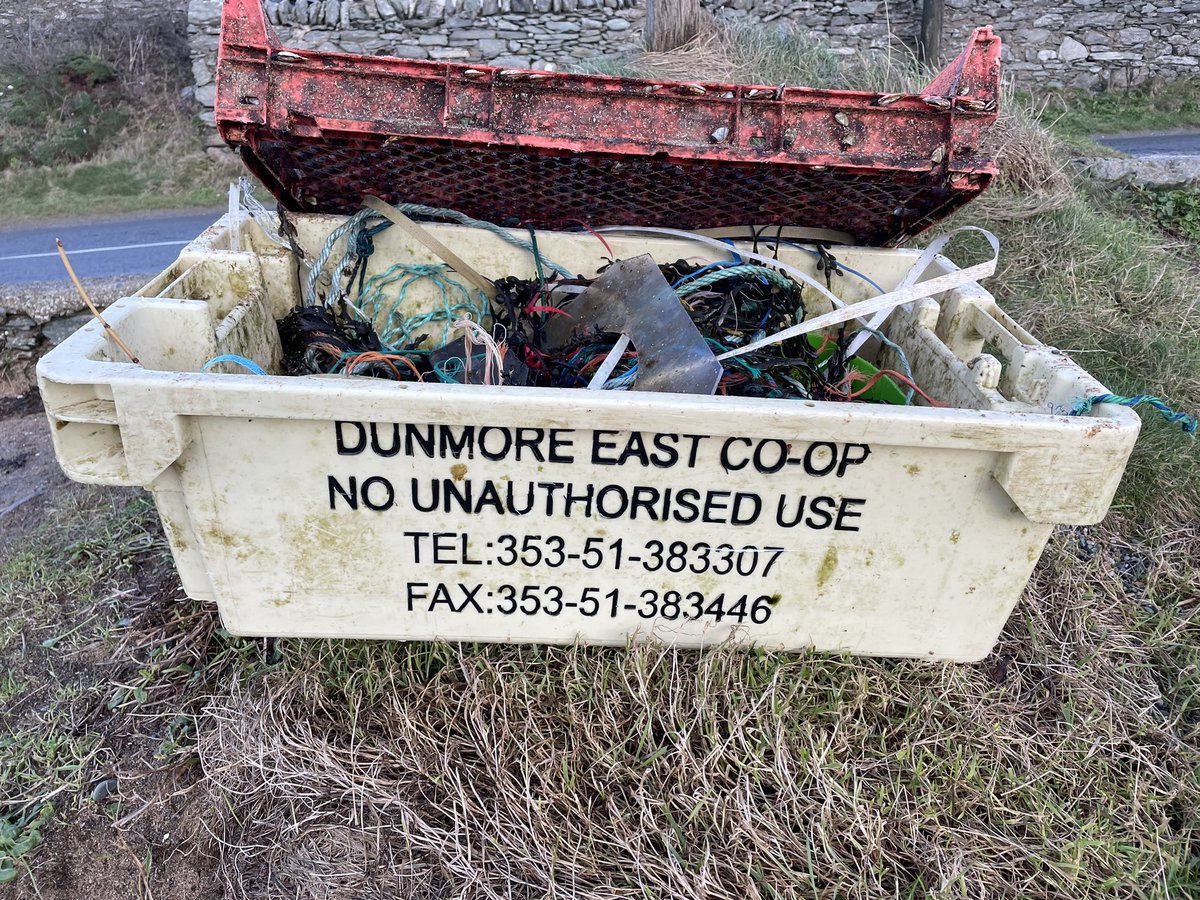 #5minutebeachclean @ Porth-y-Post, #Anglesey today whilst walking the dog! No #PalmOil today! But quite a few swan mussels on the plastic debris.