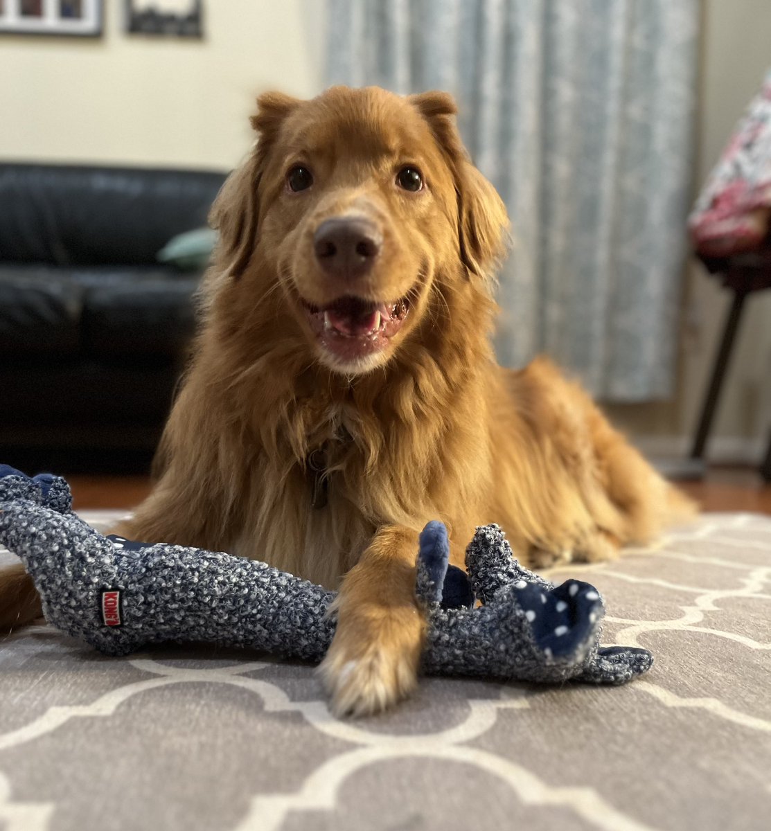 Jenn Gray tweet media