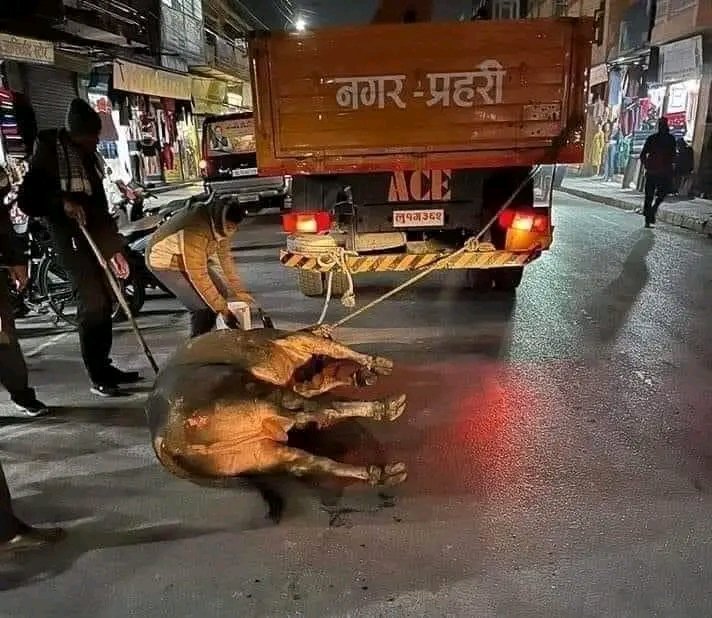 कति सम्म पापि होलान