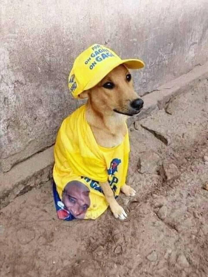 NEKONGORDC243's tweet photo. @ArseneKampene @kamba82 @kapalangkatshia @FistonMwenge Il s'est tenue en date du 6/01/2023, une réunion extraordinaire, présidée par #China_Rambo .

Un seul point a ��té retenu à l'O.J : Désignation du Candidat du #PPRD

Après débat et délibération, Monsieur le CHIEN a été choisi à l'unanimité par les cadres influents du @pprdofficiel https://t.co/woqJhVNAqG