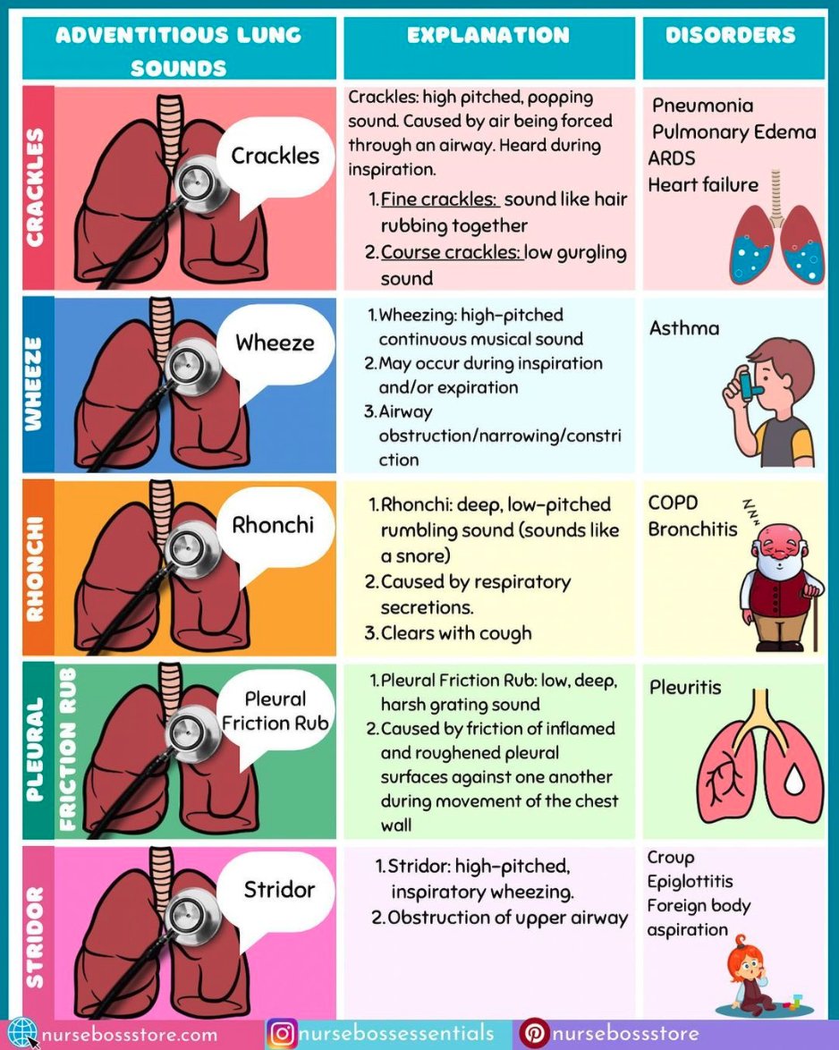 nursingintern's tweet photo. respiratory sounds ✨ https://t.co/JmqqjmtKHn