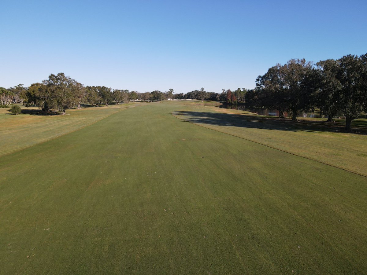 Lone Palm Agronomy on Twitter "Love the look of the fairways following
